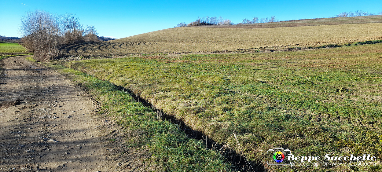 20230110_145602 - Dalla terra... il grano.jpg